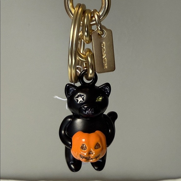 Coach Halloween Black Cat Pumpkin Bag Charm / Keychain – NWT, Retired & Sold Out - Picture 3 of 5